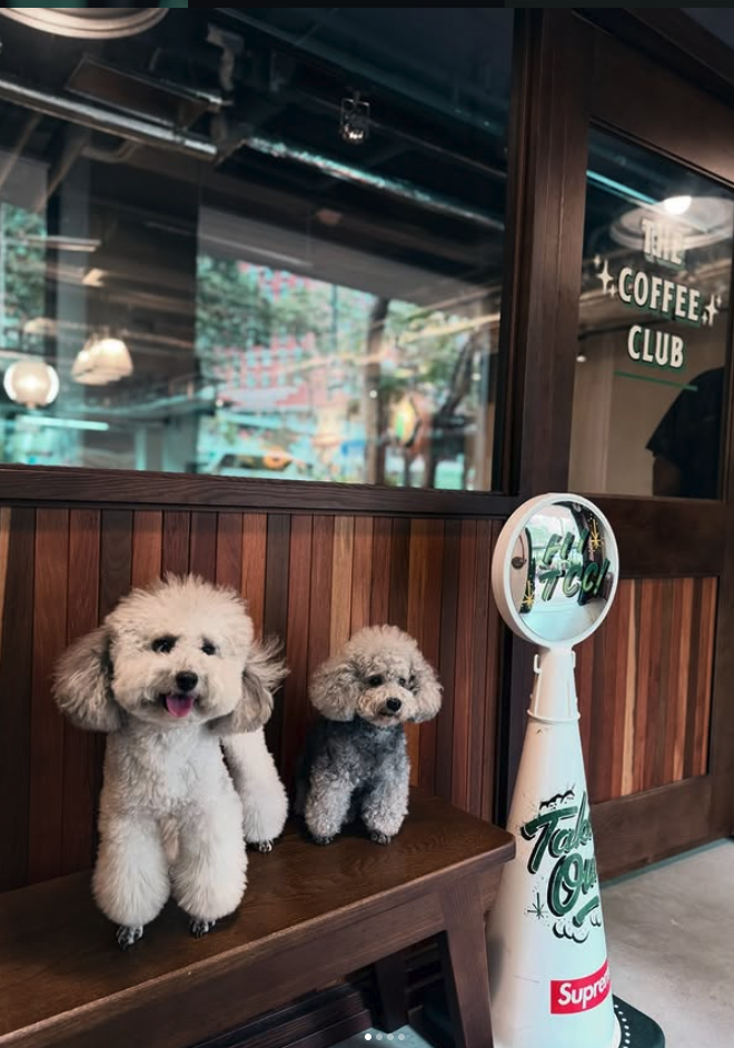 Two regulars at the bar